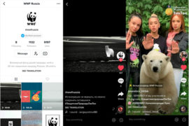 WWF