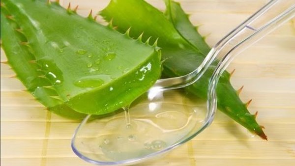 Алоэ для лица: чистая кожа, сияние и стягивание пор