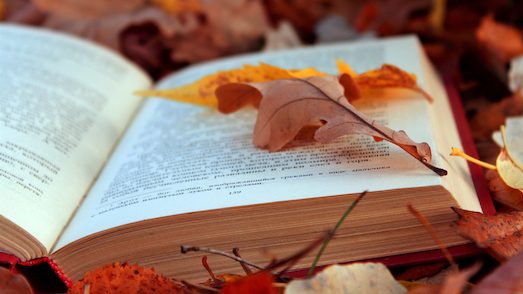 Десять интересных книг про одиночество