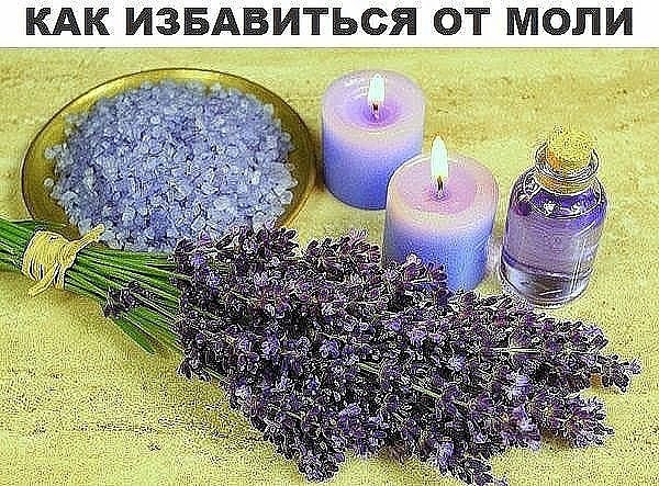 8519f2cd8d.jpeg