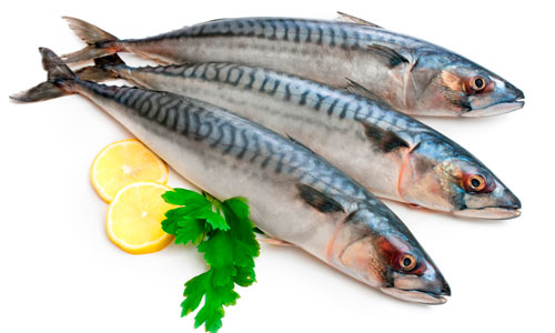 Как вкусно засолить скумбрию в домашних условиях?