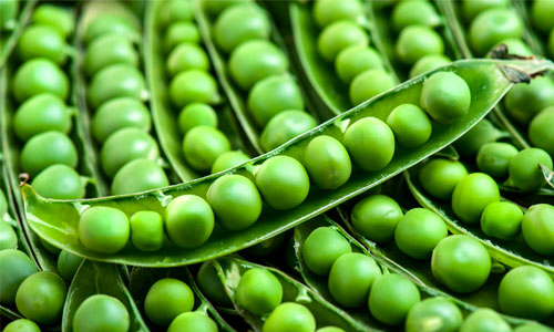 Самые полезные продукты оказались источником опасных белков