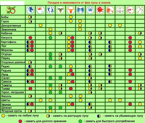 Календарь рассады в 2018 году детальная информация. Свежий материал на 15.02.2018 г.