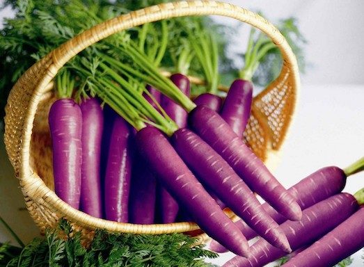 Фиолетовая морковь — состав, вкус и полезные свойства