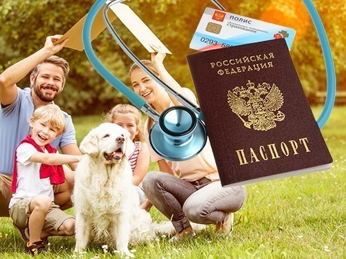 Познакомьтесь со своим страховым представителем