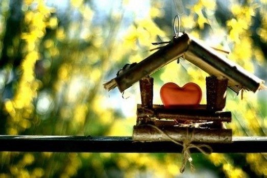 Как можно очистить энергетику в доме?