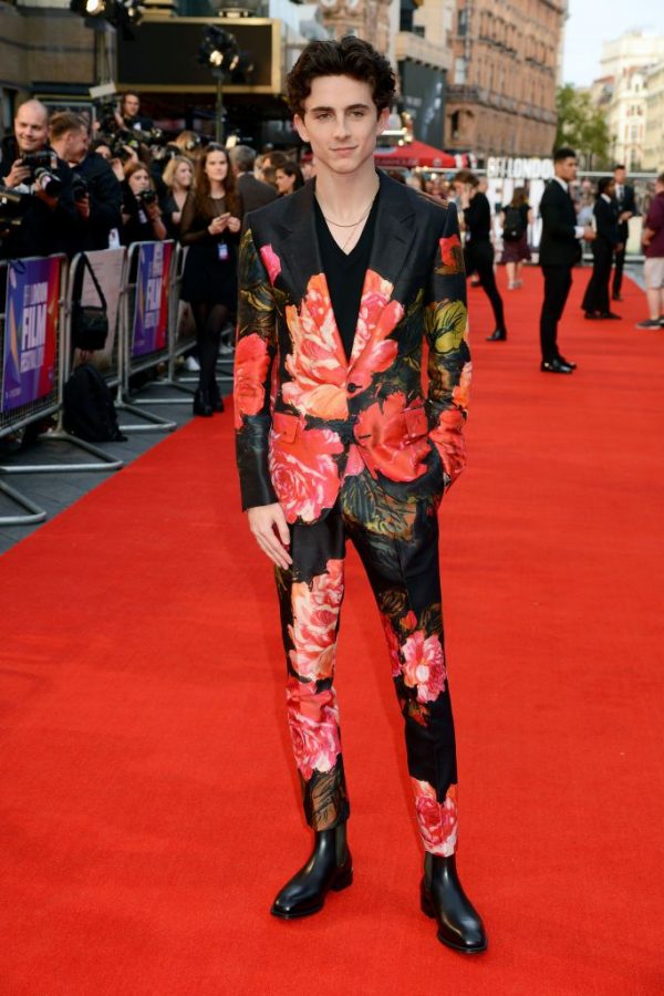 Тимоте Chalamet носил самый дикий цветочный костюм к премьере ‘Красивый мальчик’
