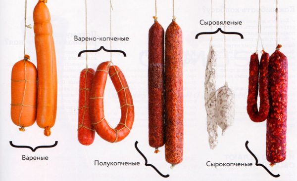 виды-колбасы