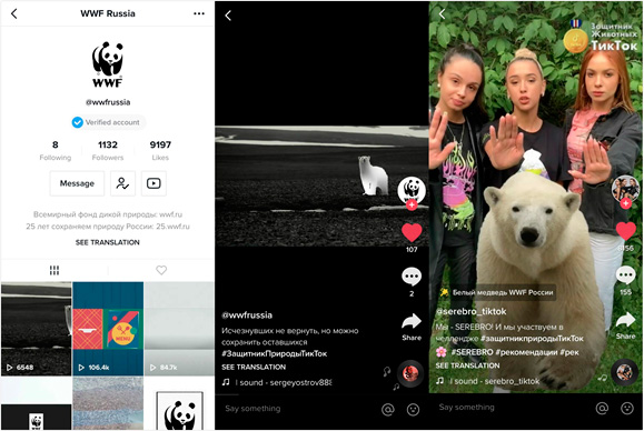 К 25-летию в России у фонда WWF появился официальный аккаунт в TikTok