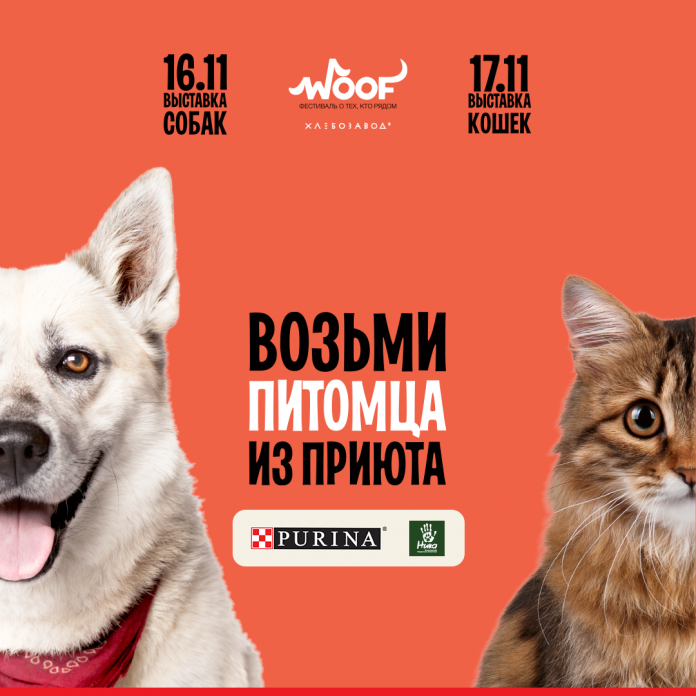 250 животных из приютов будут ждать новых хозяев на фестивале WOOF