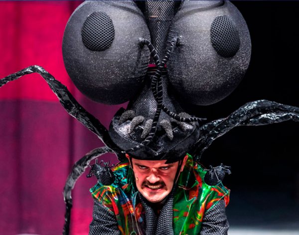 Проект-«Пиноккио»-13,-17-декабря