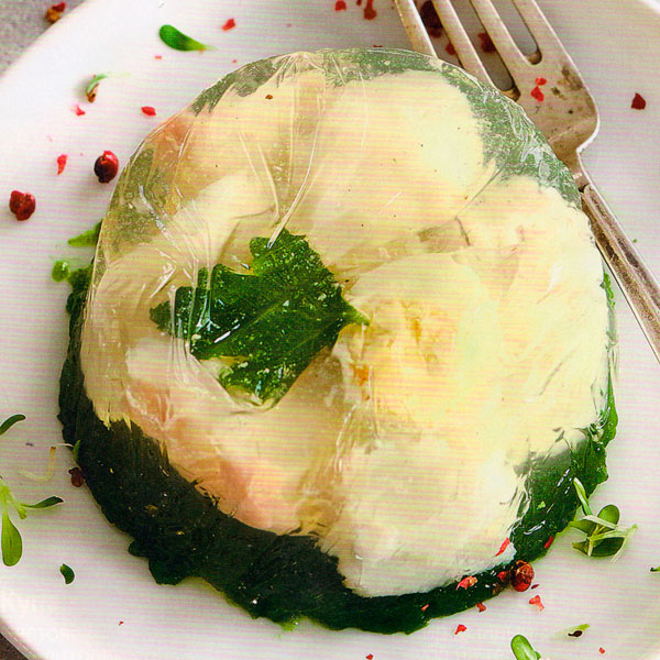 РЫБА-В-ЖЕЛЕ