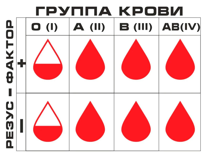 Определение пола ребёнка по группе крови