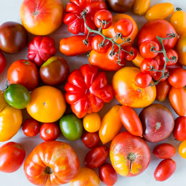 Помидоры-на-столе Помидоры