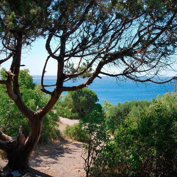 Отпуск-в-Большом-Утрише Отпуск в Большом Утрише