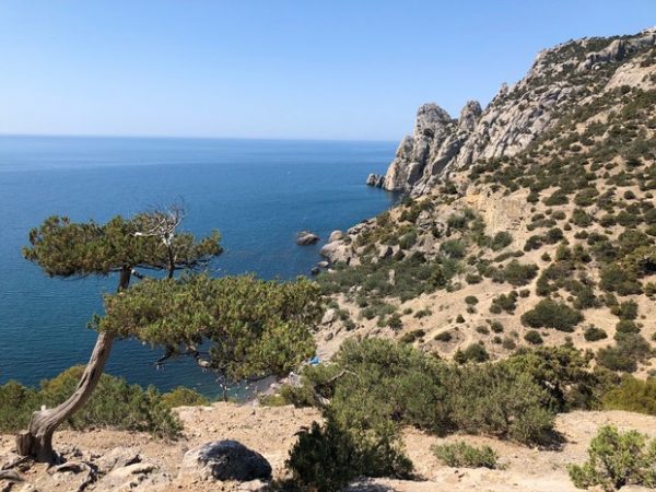 «Пролетаем Крым»: украинский пилот цинично предложил пассажирам-россиянам выйти над «родной гаванью»