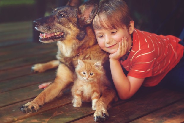 Фото №3 - Чем опасны домашние животные для маленьких детей?