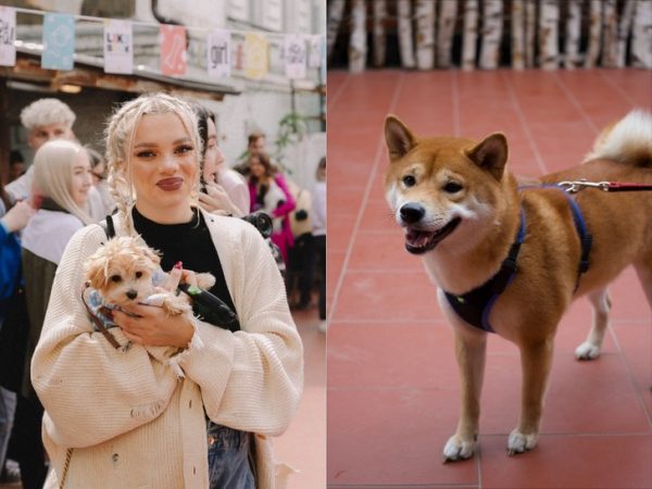 Леша Янгер вел праздник для собак, а Лера Кантур обнималась с Амирчиком: как прошла Песи-Пати
