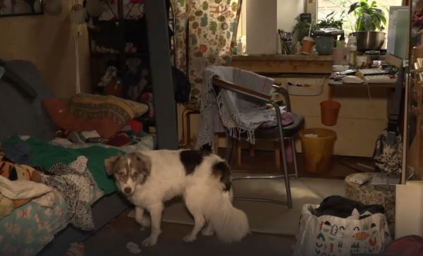 Внучка захламила квартиру Людмилы Гурченко в центре Москвы