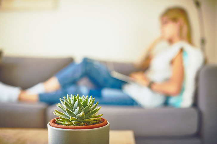 Враг замужества: правда ли, что кактус в доме сулит одиночество хозяйке