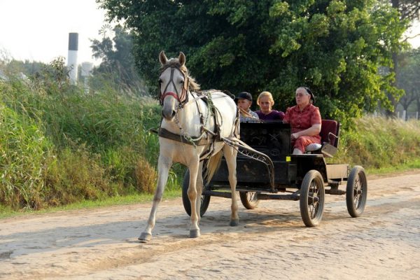 Ходят босиком, но не против iPhone: как живут американские меннониты, «законсервированные» в 19 веке