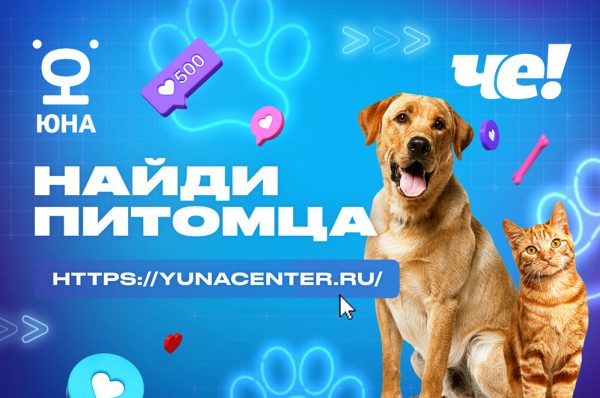 ВСЕМ-ХВОСТАТЫМ-НУЖЕН-ДОМ-ТЕЛЕКАНАЛ-«ЧЕ!»-И-ЦЕНТР-«ЮНА»-ПОМОГАЮТ-ЖИВОТНЫМ-НАЙТИ-СЕМЬЮ ВСЕМ-ХВОСТАТЫМ-НУЖЕН-ДОМ-ТЕЛЕКАНАЛ-«ЧЕ!»-И-ЦЕНТР-«ЮНА»-ПОМОГАЮТ-ЖИВОТНЫМ