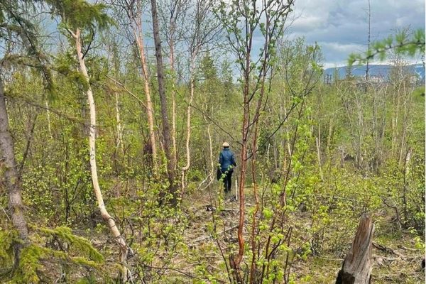 Женщина 20 лет скрывала убийство падчерицы, а мужу говорила, что дочь уехала к бабушке с цыганами