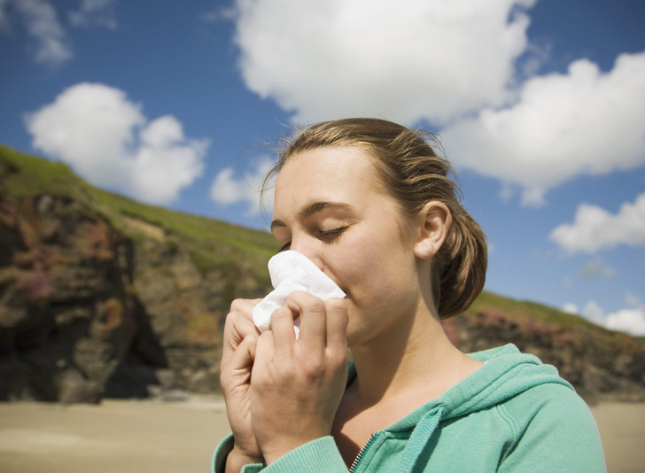 Перекрестная аллергия: что общего у домашней пыли, креветок и цветов картофеля?