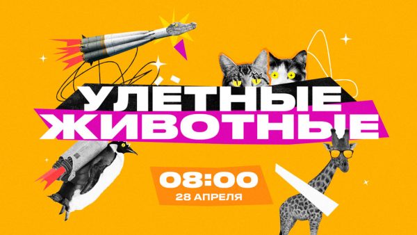 На-«ЧЕ!»-стартует-самое-доброе-и-милое-шоу-о-животных.