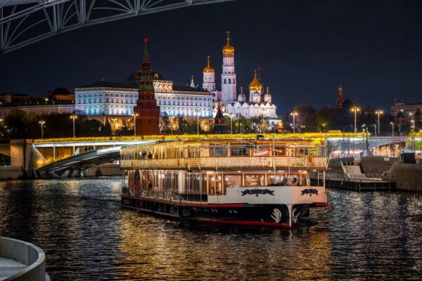 Копия Ласточка ночное фото