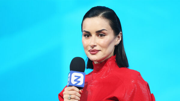 Тина Канделаки показала свою переписку с мошенниками