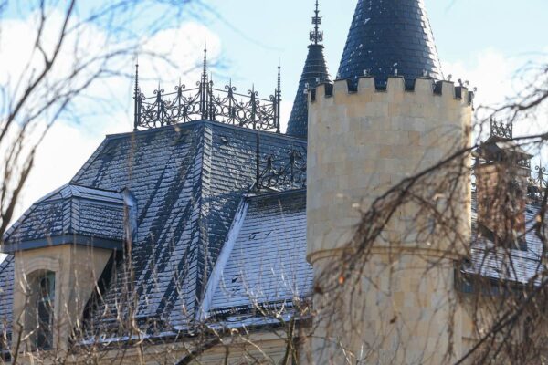 В подмосковном замке Пугачевой призвали устроить морг и крематорий