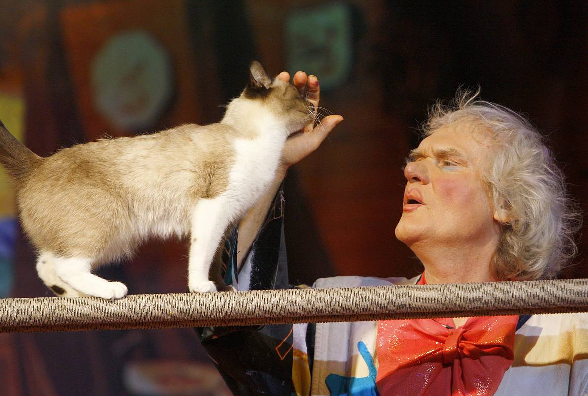 Куклачев рассказал о любви кошек к песням Shaman