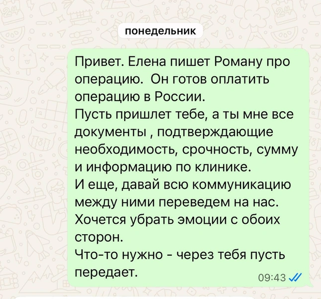 Переписка адвокатов Елены и Романа