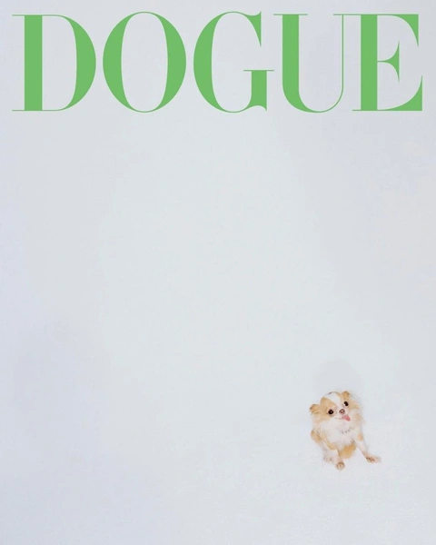 Пилаф Деми Мур на одной из первых обложек Dogue