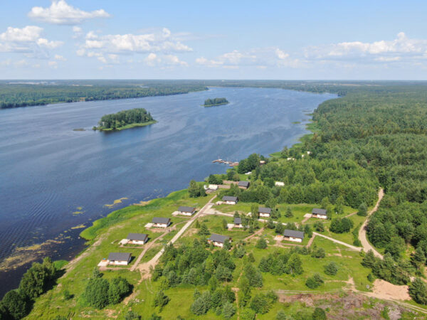 От стресса к гармонии: зачем современному человеку отдых на природе