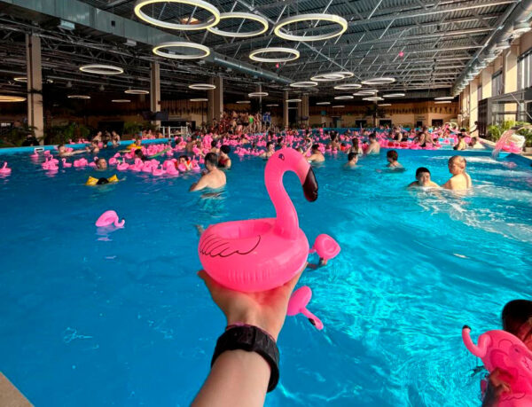 Как-Termoland-Путилково-увеличил-вовлеченность-аудитории-с-помощью-комплексной-маркетинговой-стратегии